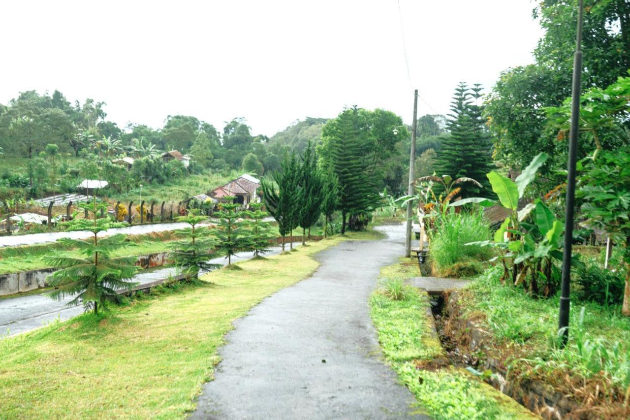 Tunjung Sari Villa Bedugul Бедугул Экстерьер фото