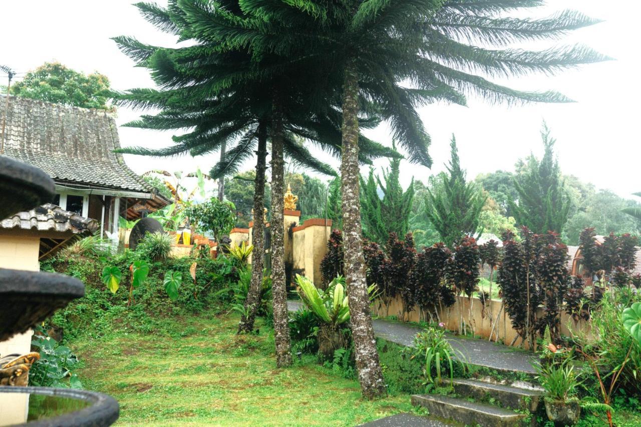 Tunjung Sari Villa Bedugul Бедугул Экстерьер фото